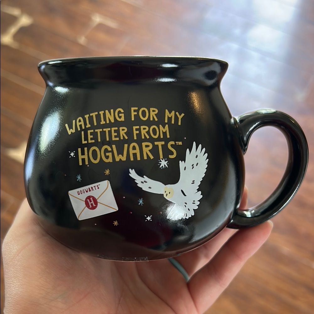 Collectors Hogwarts Cauldron Mug with Owl and Letter Design